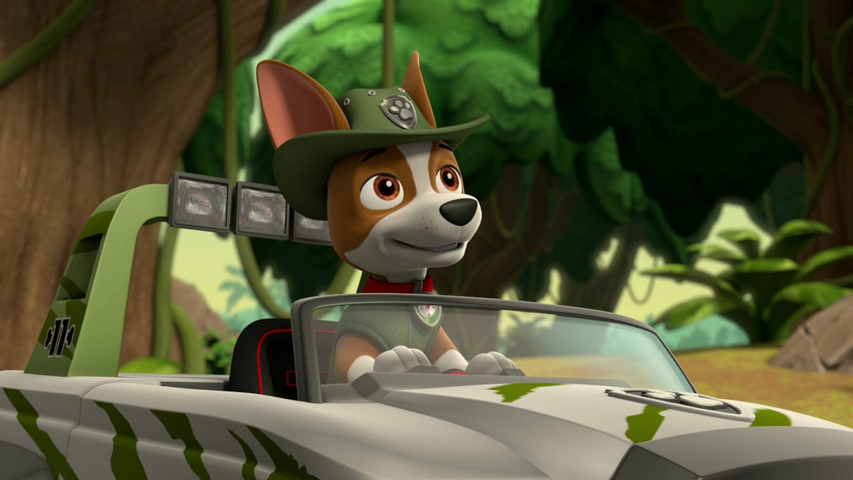 paw patrol - helfer auf vier pfoten