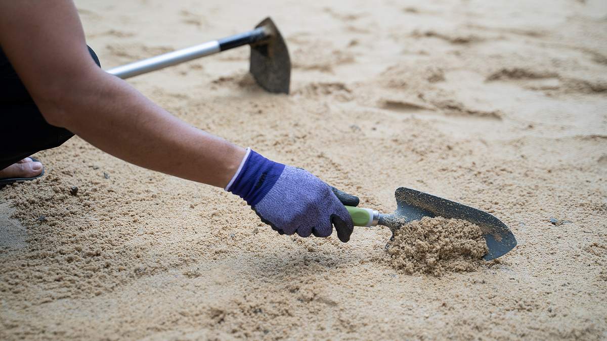 Garden Rescue: Wer rettet meinen Garten? garden rescue: wer rettet meinen garten?
