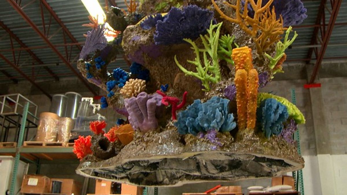 fish tank kings - gigantische wasserwelten