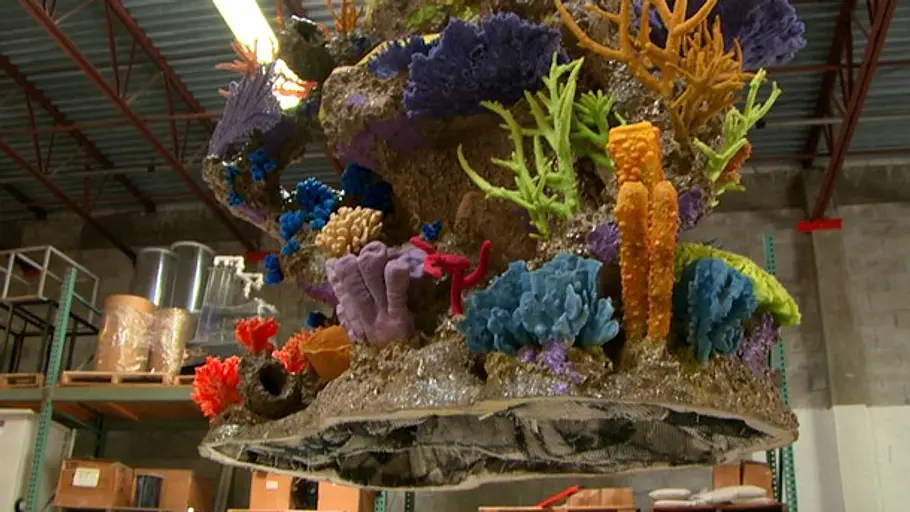 Fish Tank Kings - Gigantische Wasserwelten fish tank kings - gigantische wasserwelten