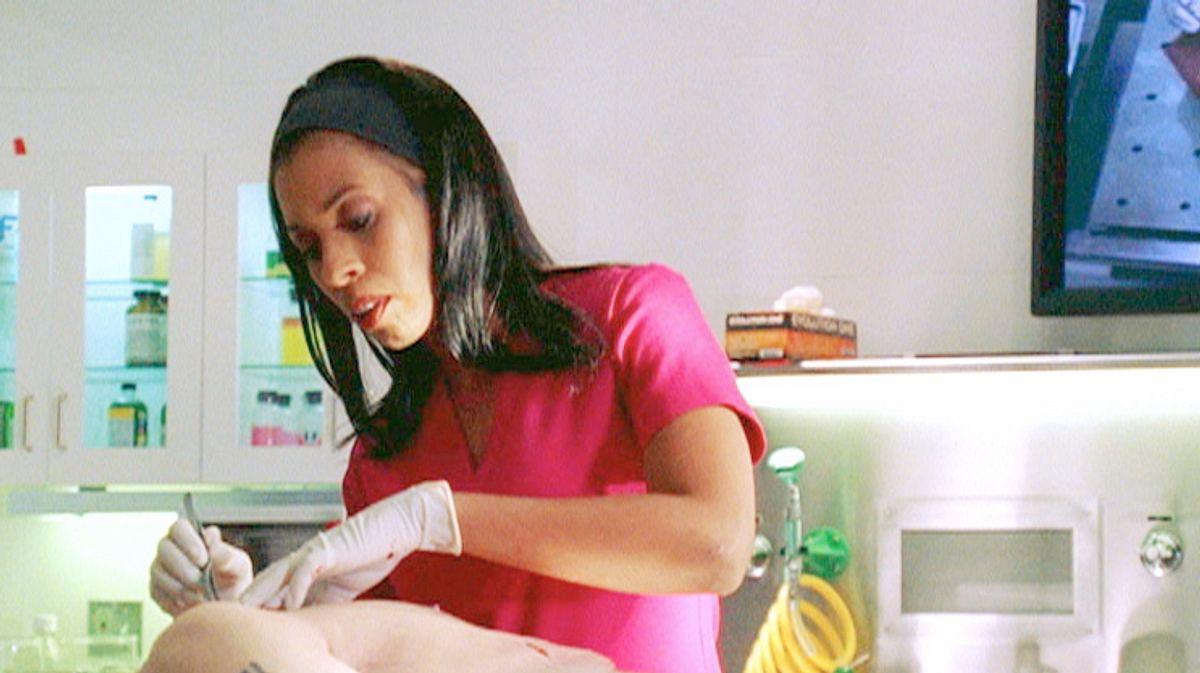 csi: miami