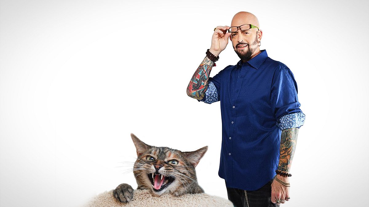 der katzenflüsterer