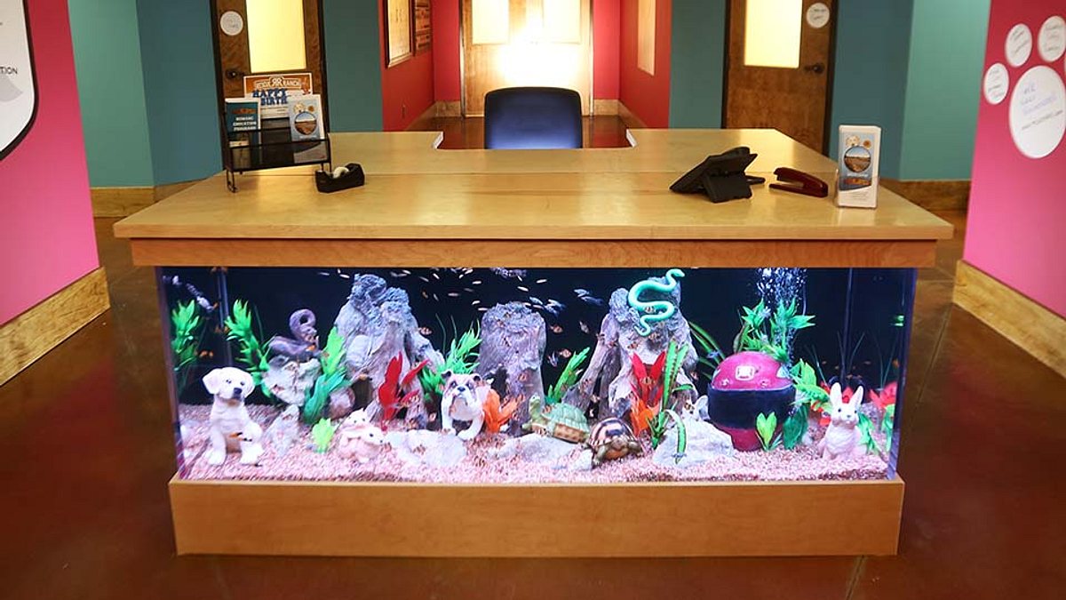 die aquarium-profis