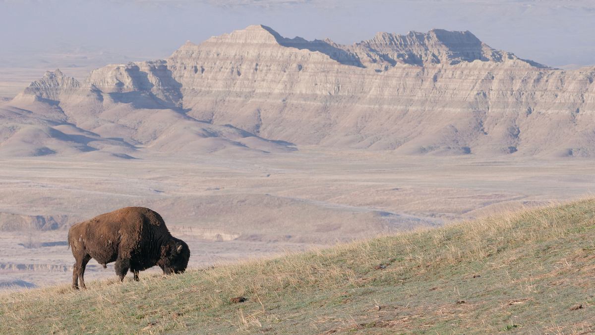 amerikas nationalparks