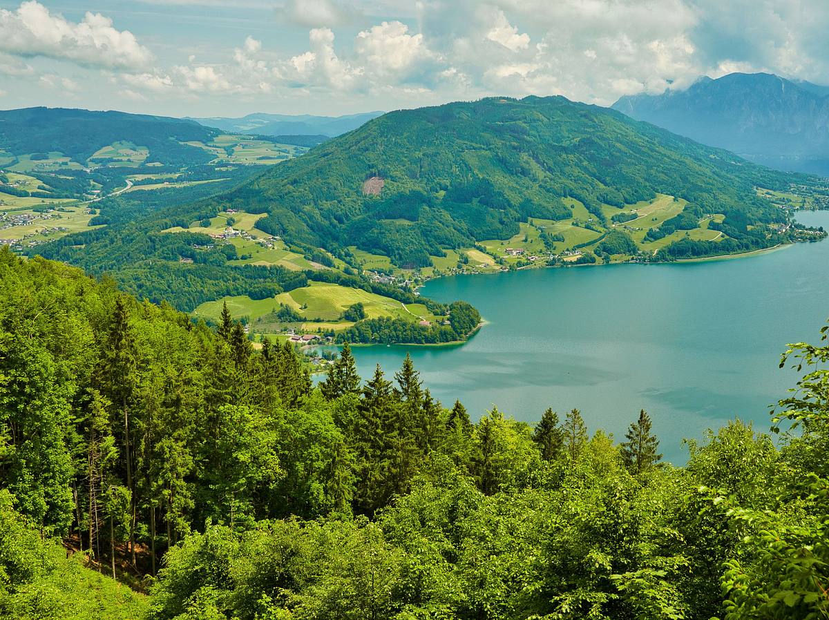 Heimatleuchten heimatleuchten