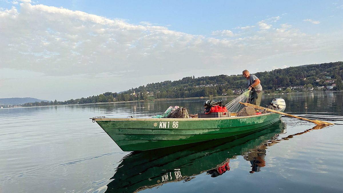 ein sommer am bodensee