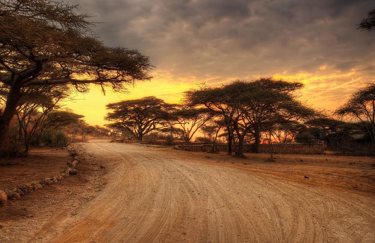 afrikas naturwunder - ein tag wie kein anderer