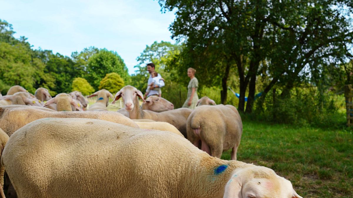 lust aufs land - bayerische hofgeschichten