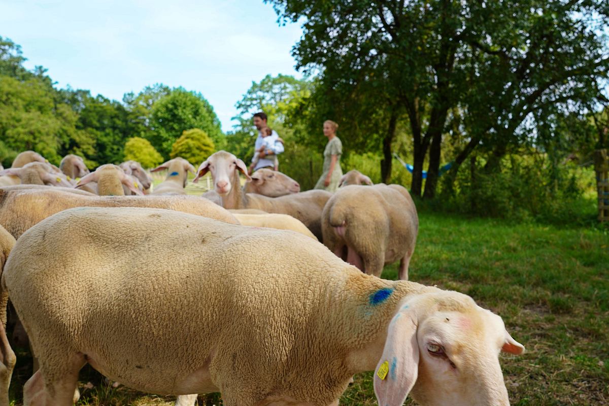 Lust aufs Land - Bayerische Hofgeschichten lust aufs land - bayerische hofgeschichten
