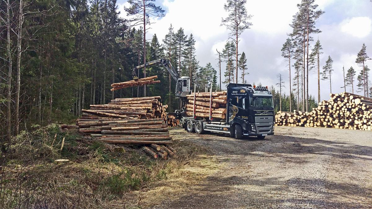 bullerbü in deutschland - ein schwedenhaus entsteht