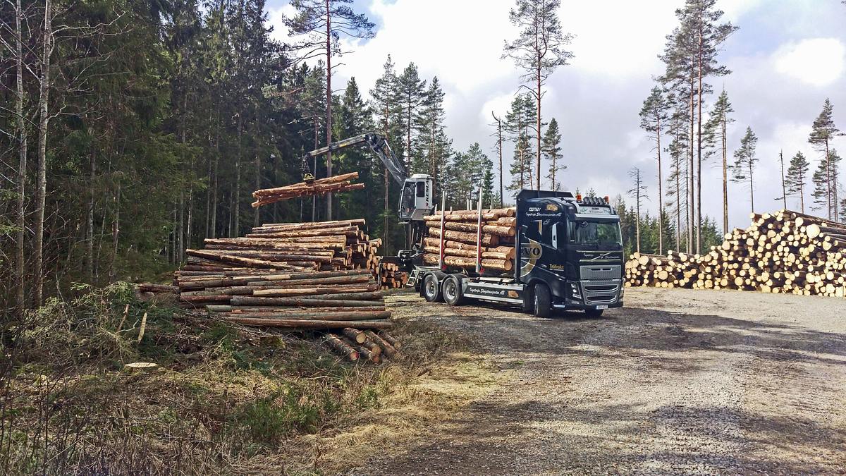bullerbü in deutschland - ein schwedenhaus entsteht