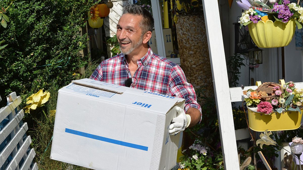 der trödeltrupp - das geld liegt im keller