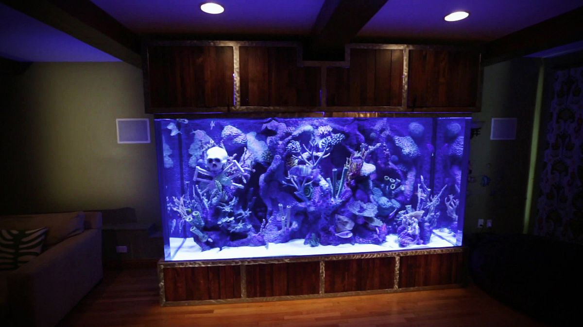 die aquarium-profis