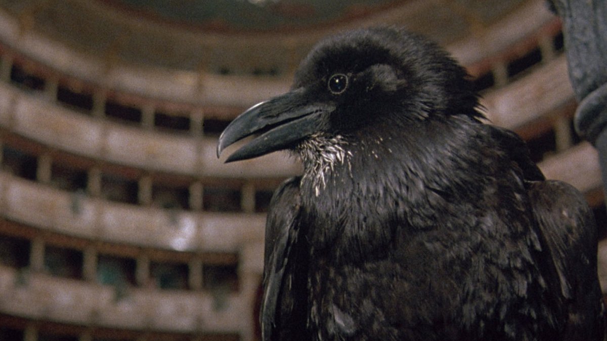 terror in der oper