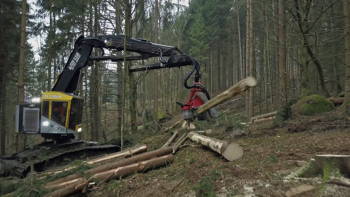 einsatz am limit - knochenjob holzfällen