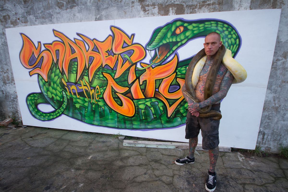 snakes in the city