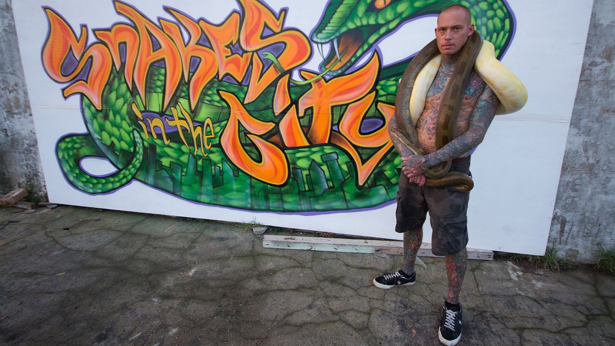 snakes in the city