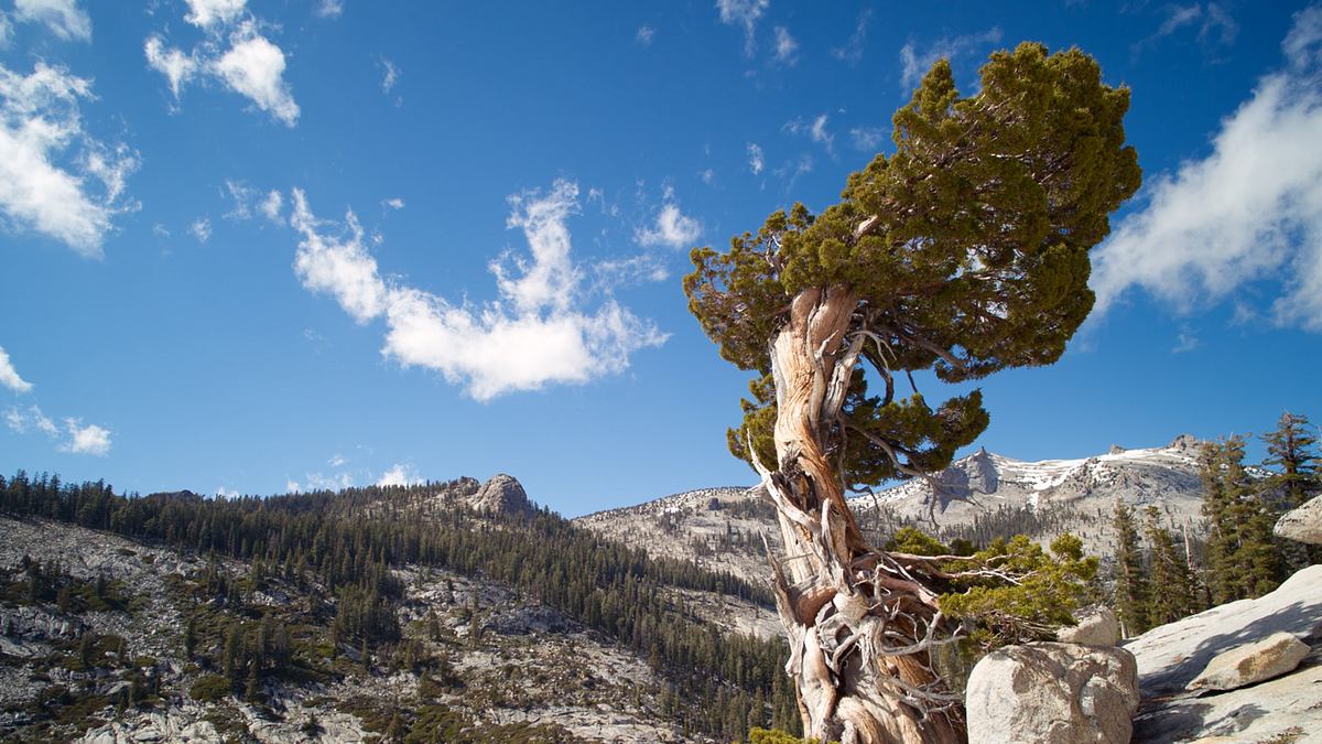 amerikas nationalparks