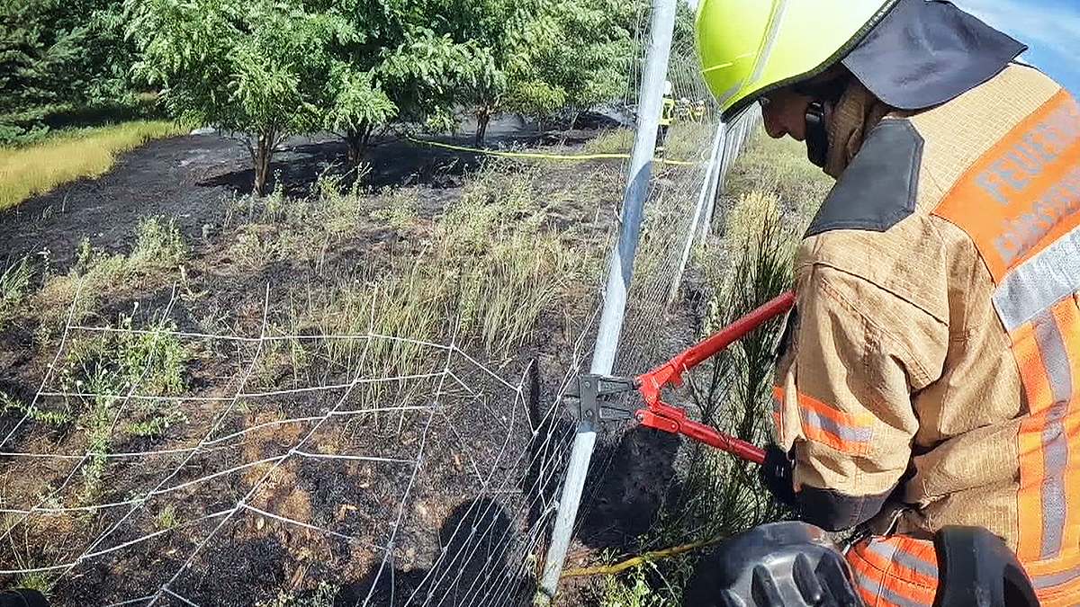 112: Feuerwehr im Einsatz 112: feuerwehr im einsatz