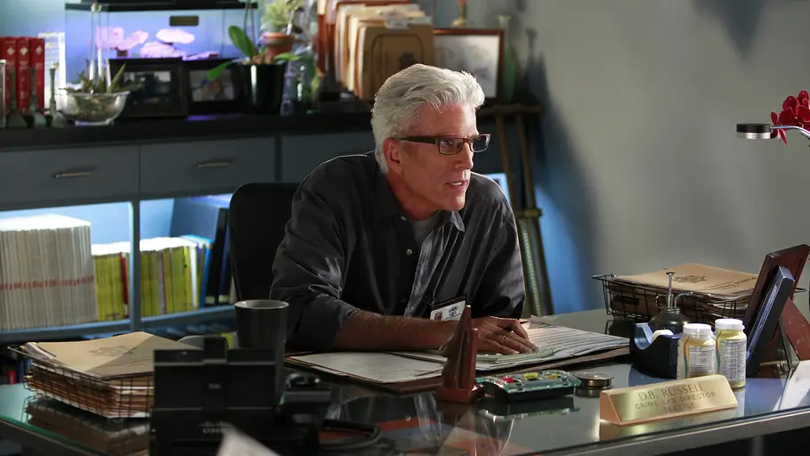 csi: vegas