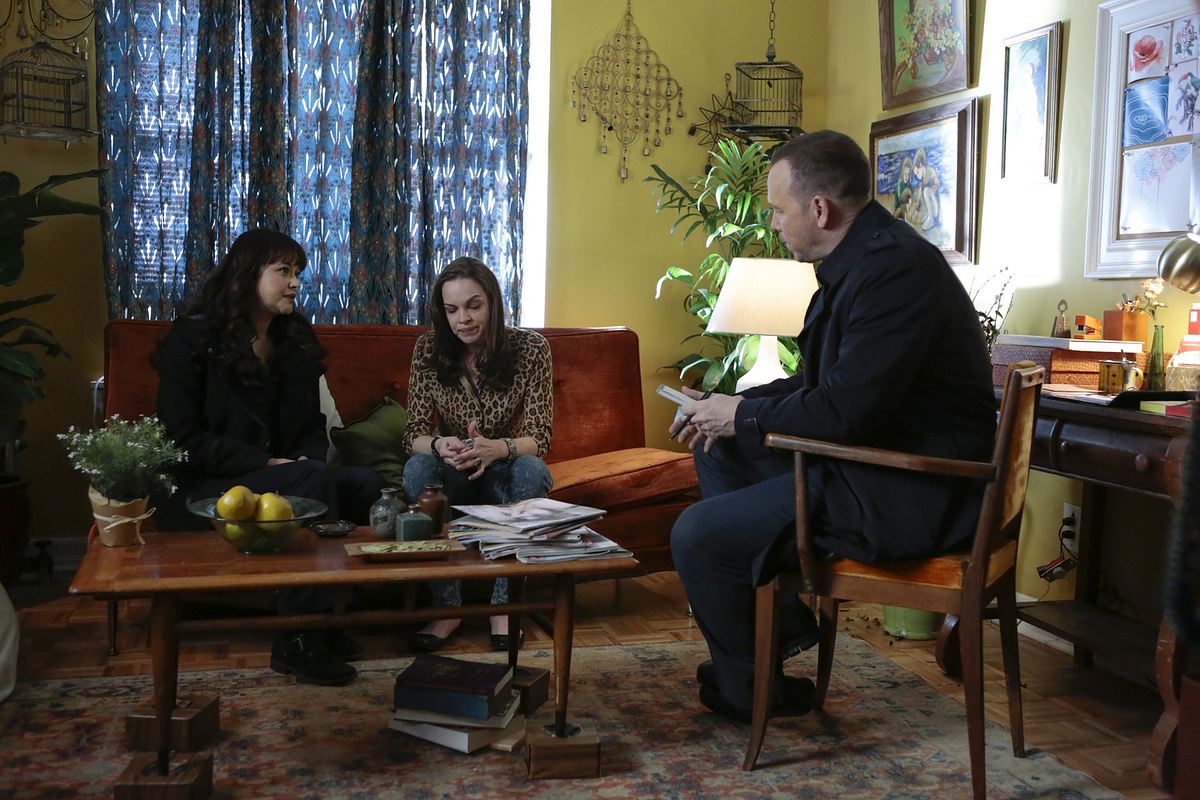 blue bloods - crime scene new york