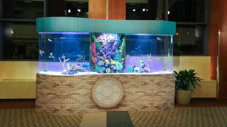 Die Aquarium-Profis die aquarium-profis