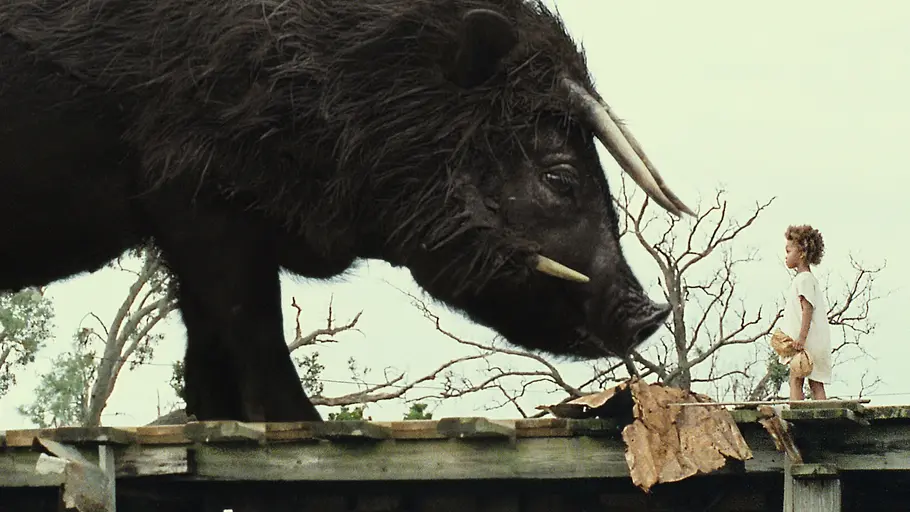 Beasts of the Southern Wild beasts of the southern wild