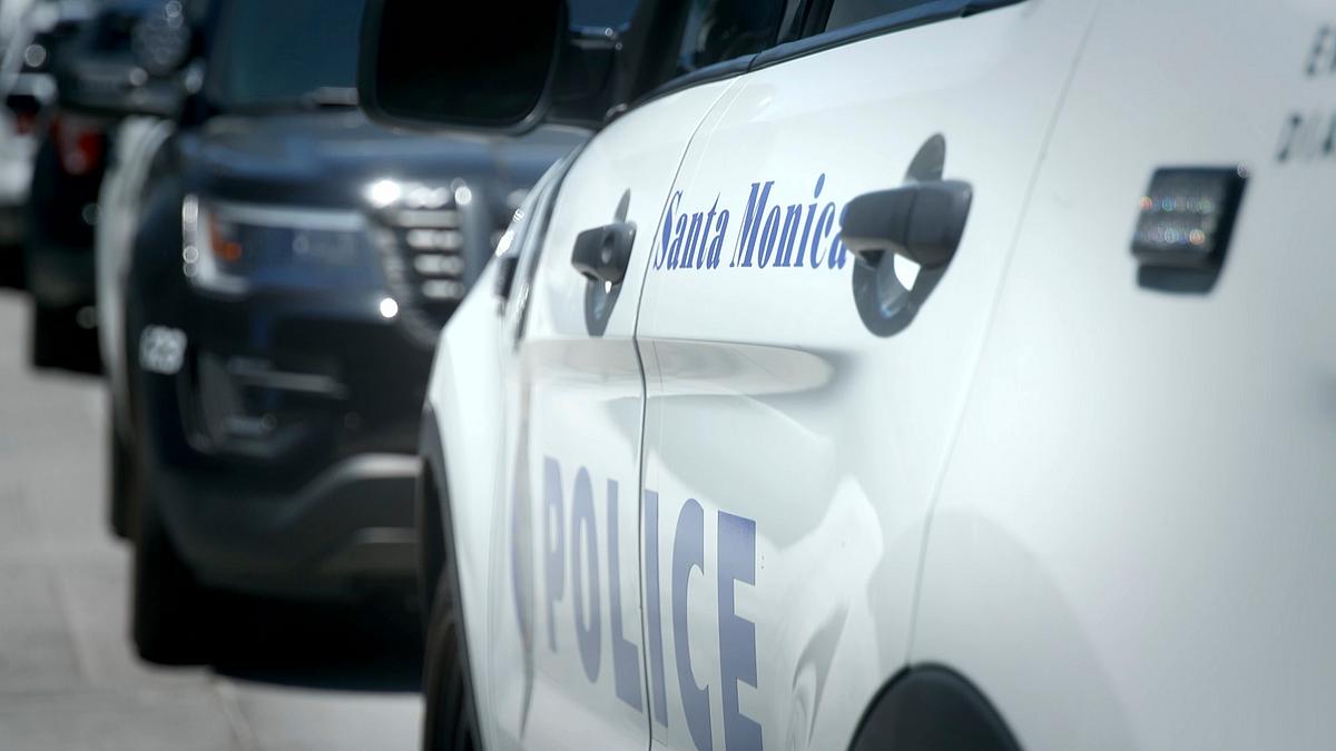 cops who kill - mörder in uniform