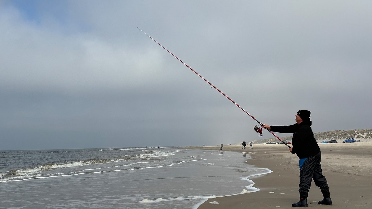 nordseereport