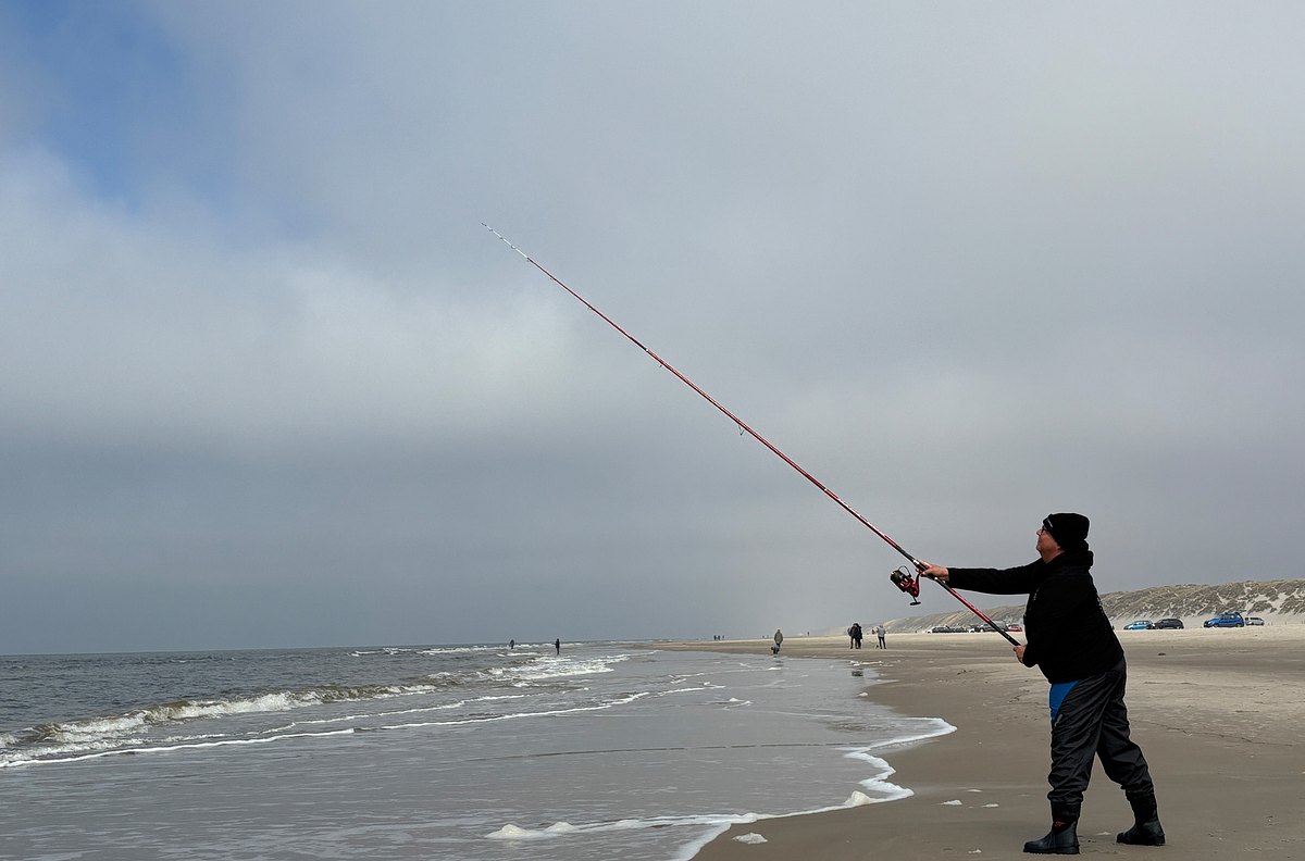 Nordseereport nordseereport