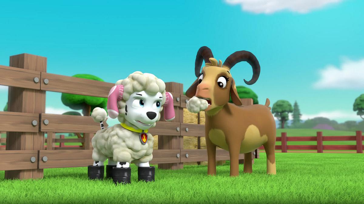 paw patrol - helfer auf vier pfoten