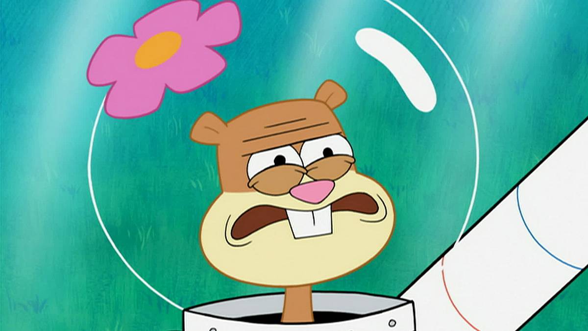 spongebob schwammkopf