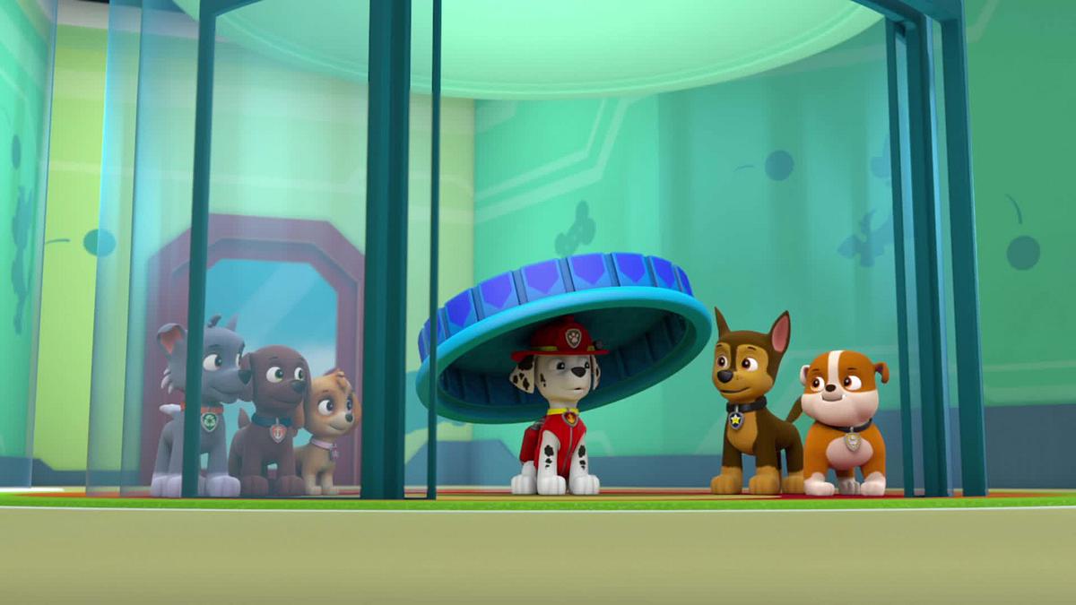 paw patrol - helfer auf vier pfoten