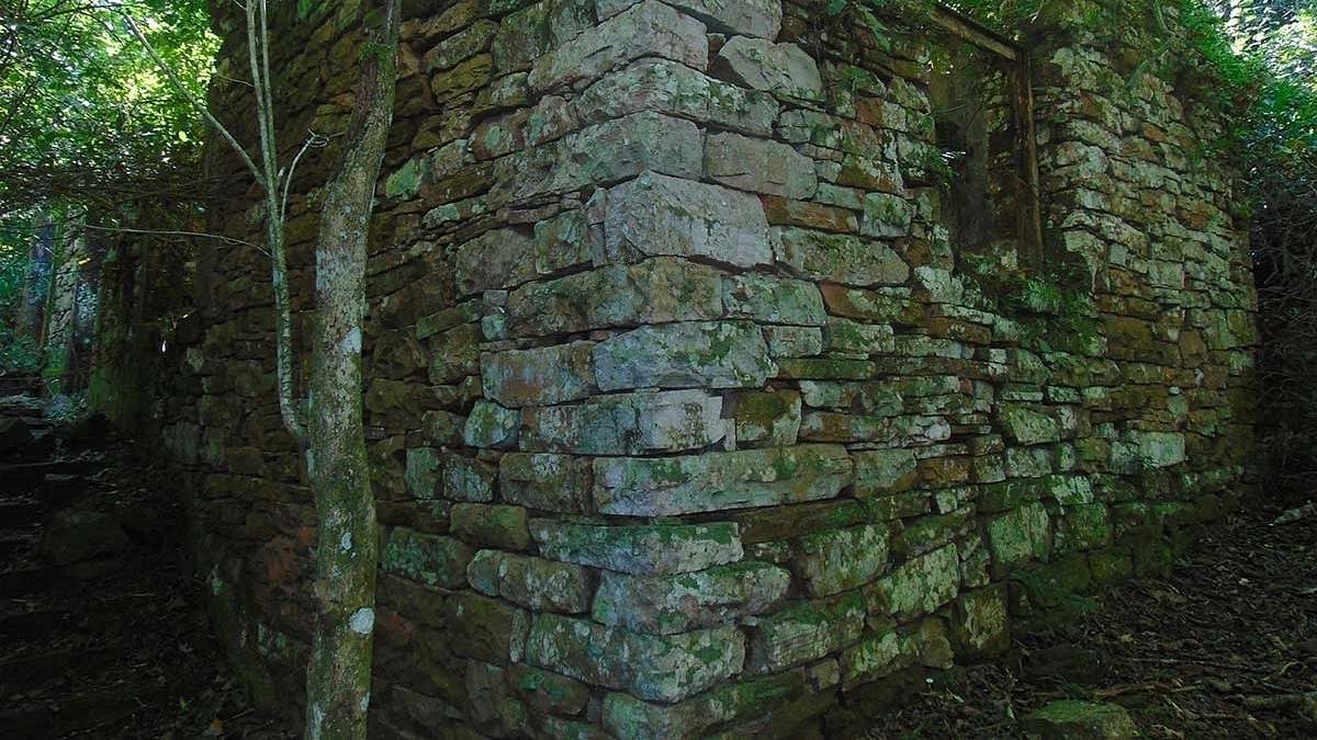 verborgen im dschungel - geheimnisse aus der vergangenheit