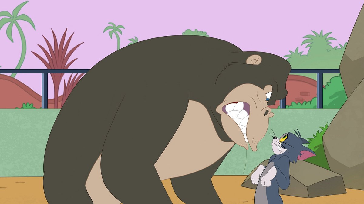 die tom und jerry show