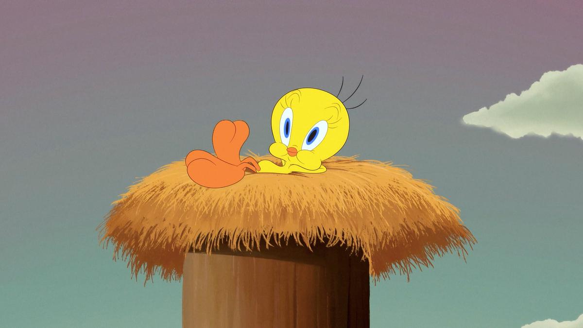 looney tunes cartoons
