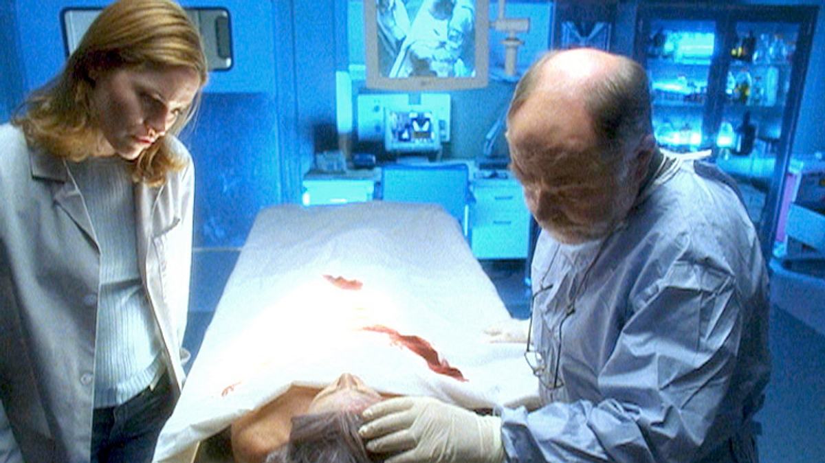 csi: den tätern auf der spur