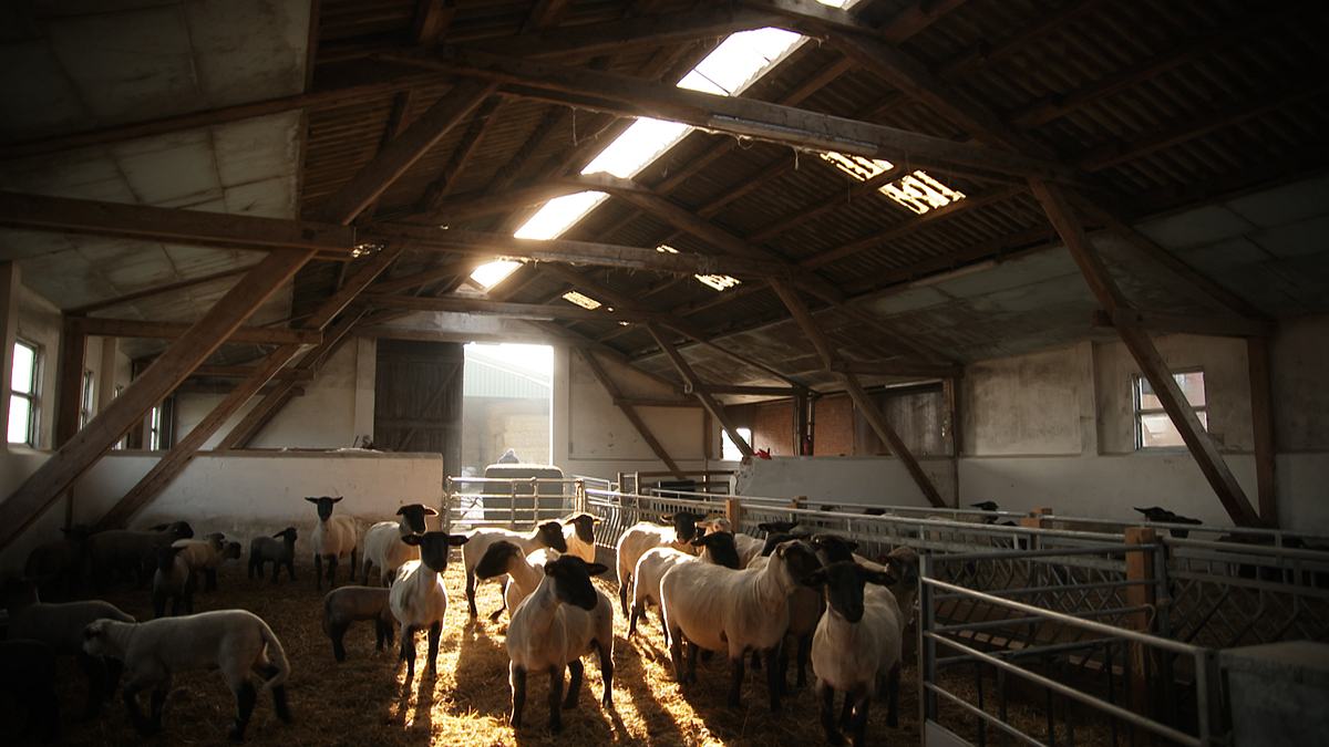 Helden der Landwirtschaft helden der landwirtschaft