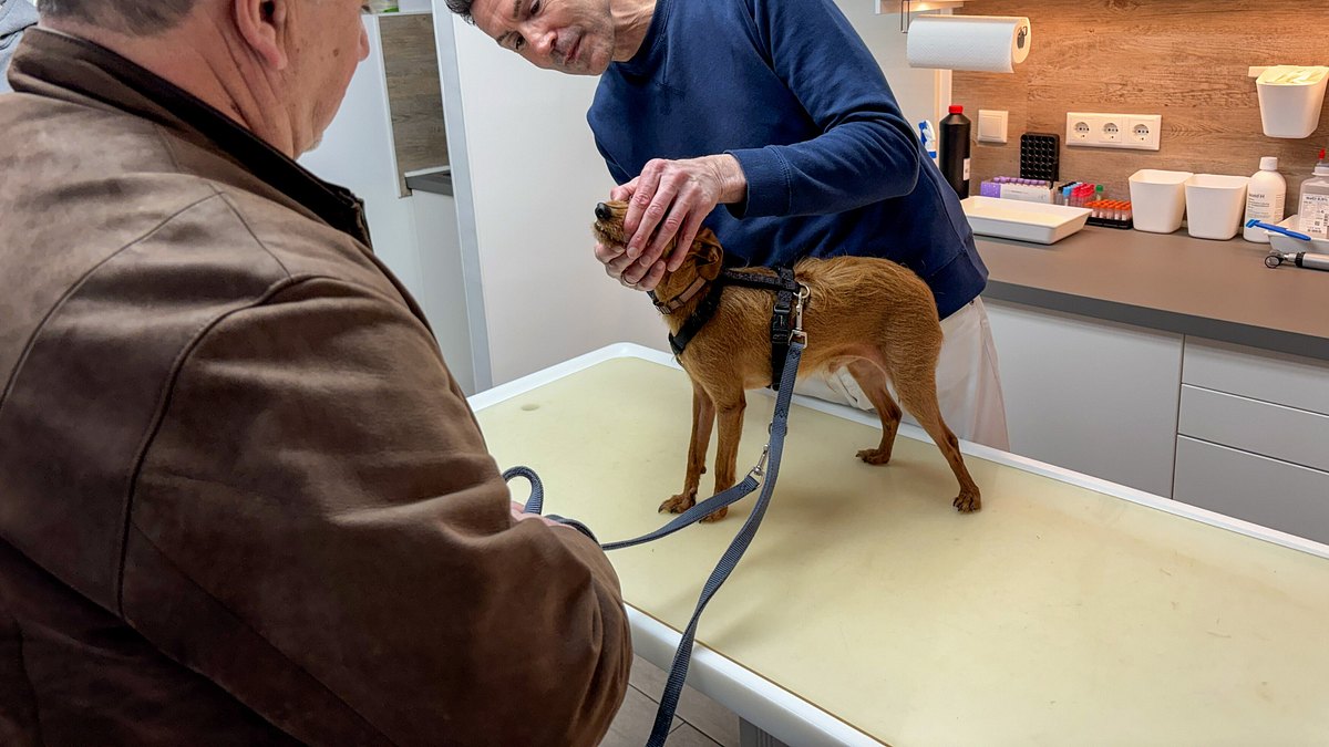 tierische augenblicke