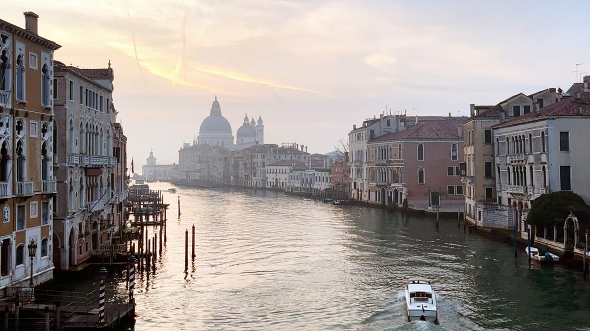 venedig und die kunst der macht - die geschichte der biennale