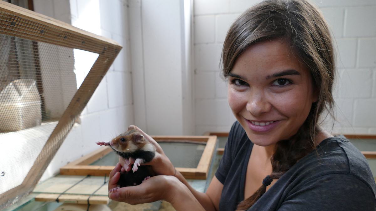 anna und die wilden tiere