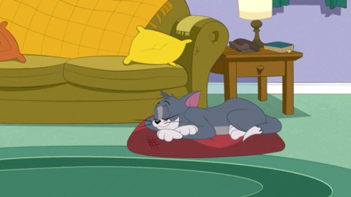 Die Tom und Jerry Show die tom und jerry show