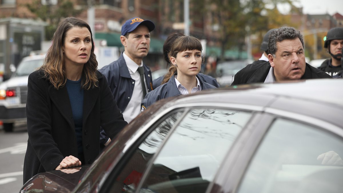 blue bloods - crime scene new york