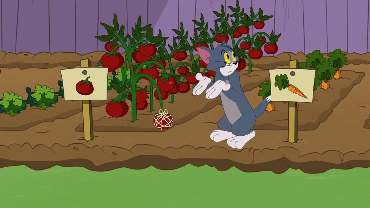 Die Tom und Jerry Show die tom und jerry show