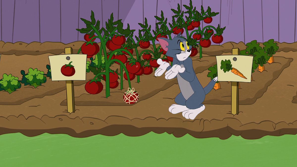 die tom und jerry show