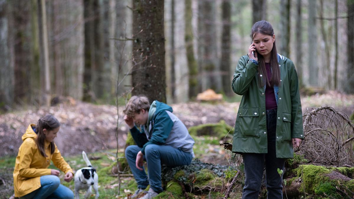 tiere bis unters dach