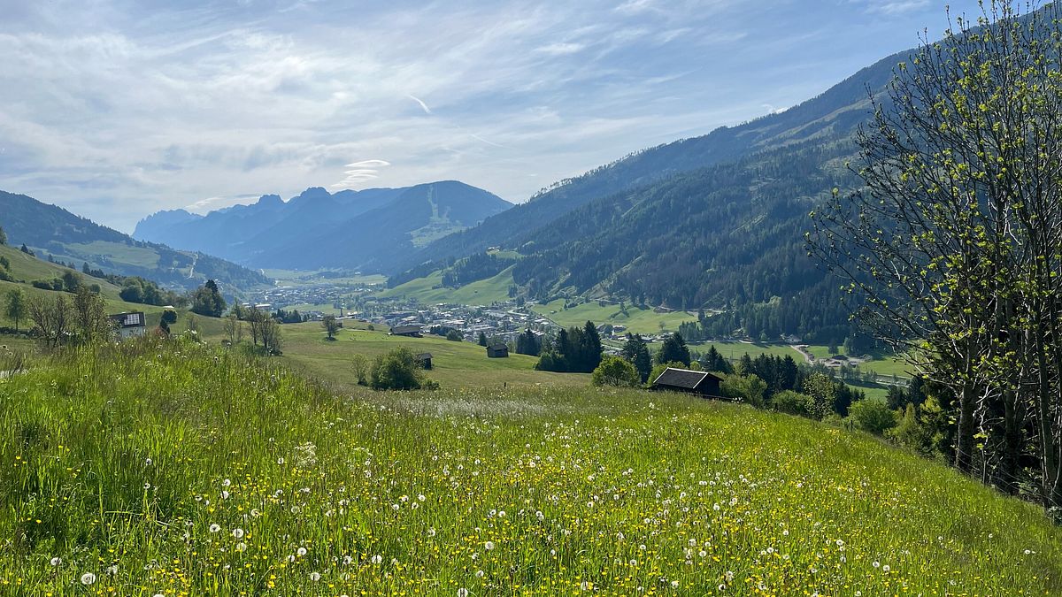 zurück zur natur