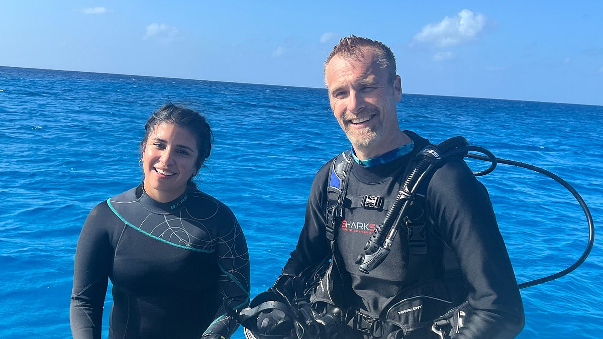 hai vs. delfin: tatort bahamas