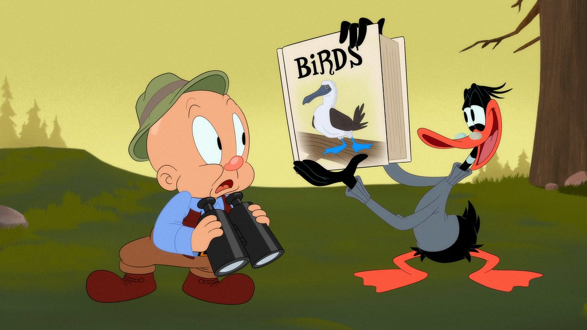 looney tunes cartoons