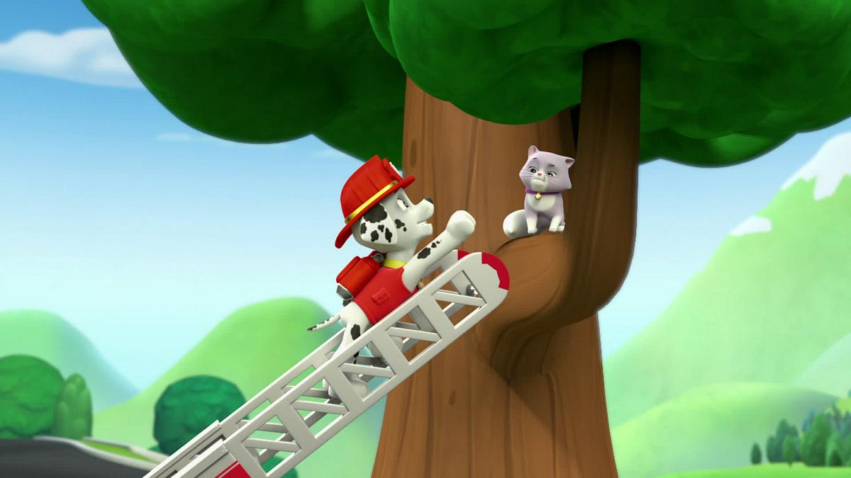 paw patrol - helfer auf vier pfoten
